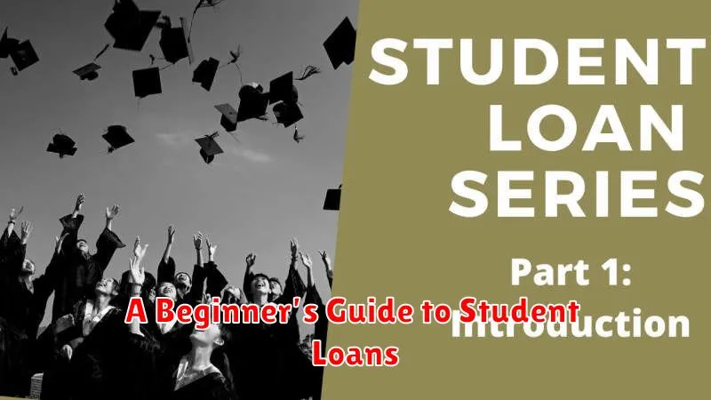 A Beginner’s Guide to Student Loans